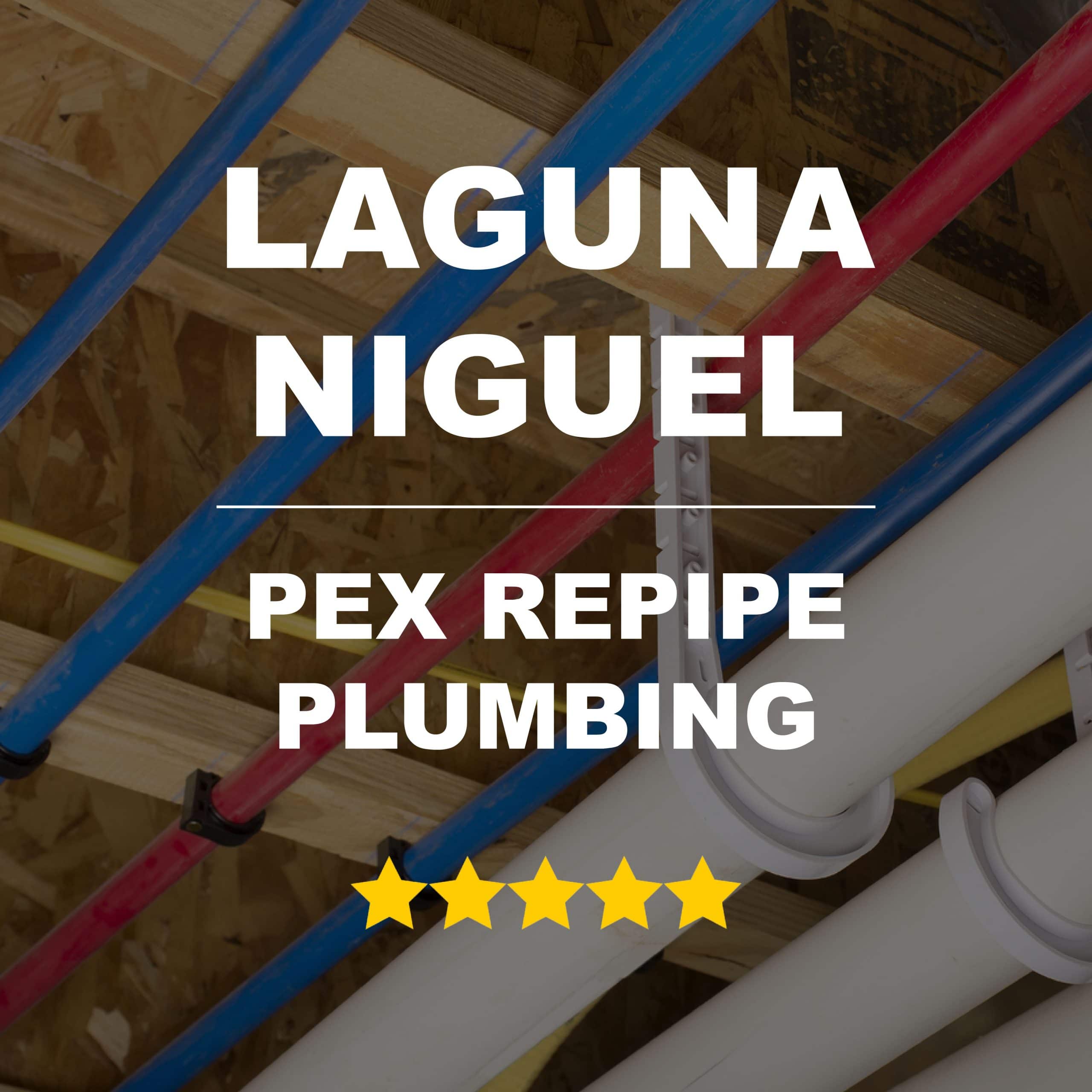 Laguna Niguel Pex Repipe Plumbing Integrity Repipe